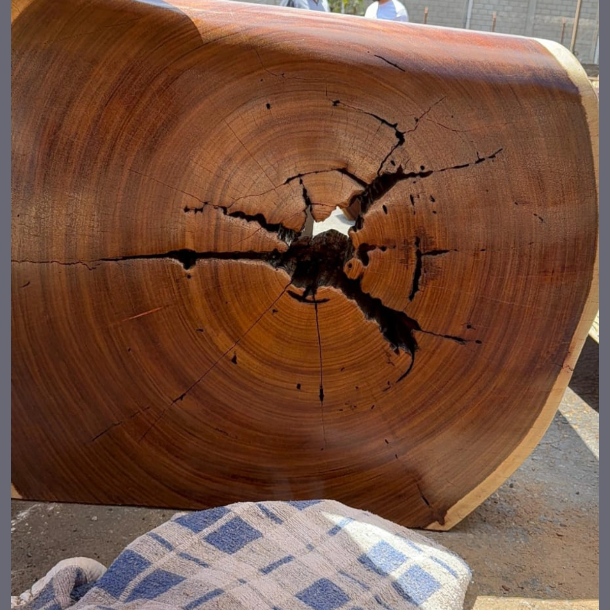 Modelo de produto 3 - Imagem 5